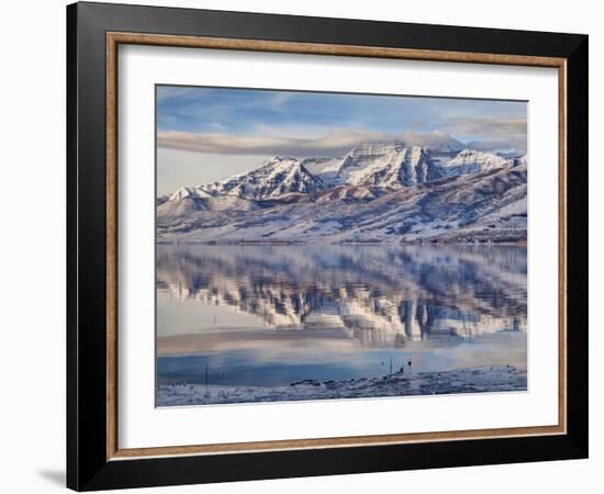 USA, Utah, Heber Valley, Winter Reflection of Mount Timpanogos in Deer Creek Reservoir at Sunrise-Ann Collins-Framed Photographic Print