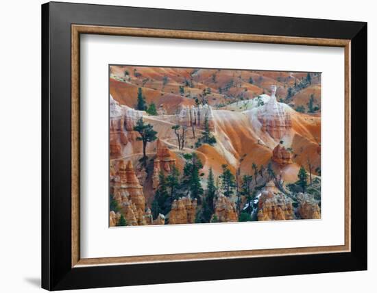 USA, Utah. Hoodoo Formations in Bryce Canyon National Park-Jaynes Gallery-Framed Photographic Print