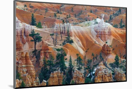 USA, Utah. Hoodoo Formations in Bryce Canyon National Park-Jaynes Gallery-Mounted Photographic Print