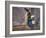 USA, Utah, Moab, Halloween witch on broomstick that crashed into pole.-Merrill Images-Framed Photographic Print