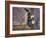 USA, Utah, Moab, Halloween witch on broomstick that crashed into pole.-Merrill Images-Framed Photographic Print