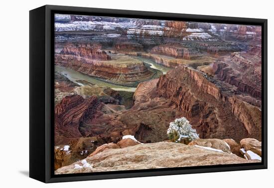 USA, Utah, Morning after Snow at Dead Horse Point, Canyonlands NP-John Ford-Framed Premier Image Canvas