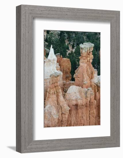 USA, Utah. Orange and white hoodoos, Bryce Canyon National Park.-Judith Zimmerman-Framed Photographic Print
