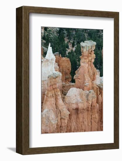 USA, Utah. Orange and white hoodoos, Bryce Canyon National Park.-Judith Zimmerman-Framed Photographic Print