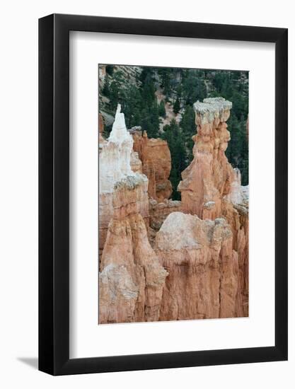 USA, Utah. Orange and white hoodoos, Bryce Canyon National Park.-Judith Zimmerman-Framed Photographic Print