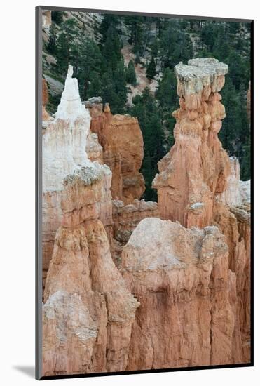 USA, Utah. Orange and white hoodoos, Bryce Canyon National Park.-Judith Zimmerman-Mounted Photographic Print