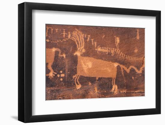 USA, Utah. Procession Petroglyph Panel, detail, Bears Ears National Monument.-Judith Zimmerman-Framed Photographic Print