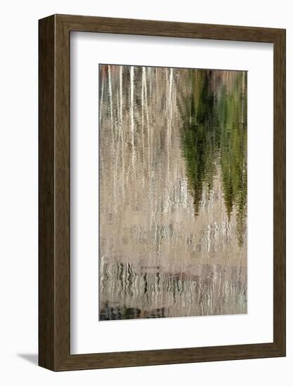 USA, Utah. Reflections on Warner Lake, Manti-La Sal National Forest.-Judith Zimmerman-Framed Photographic Print