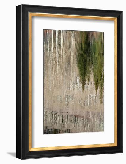 USA, Utah. Reflections on Warner Lake, Manti-La Sal National Forest.-Judith Zimmerman-Framed Photographic Print