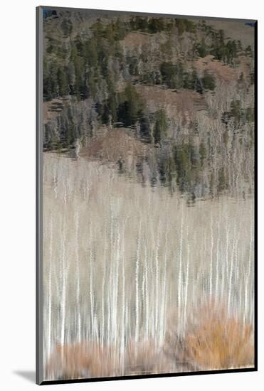 USA, Utah. Reflections on Warner Lake, Manti-La Sal National Forest.-Judith Zimmerman-Mounted Photographic Print