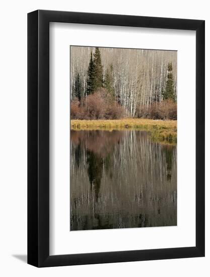 USA, Utah. Reflections on Warner Lake, Manti-La Sal National Forest.-Judith Zimmerman-Framed Photographic Print