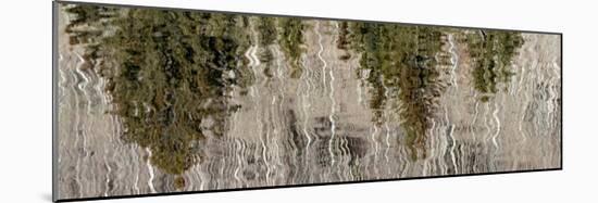 USA, Utah. Reflections on Warner Lake, Manti-La Sal National Forest.-Judith Zimmerman-Mounted Photographic Print