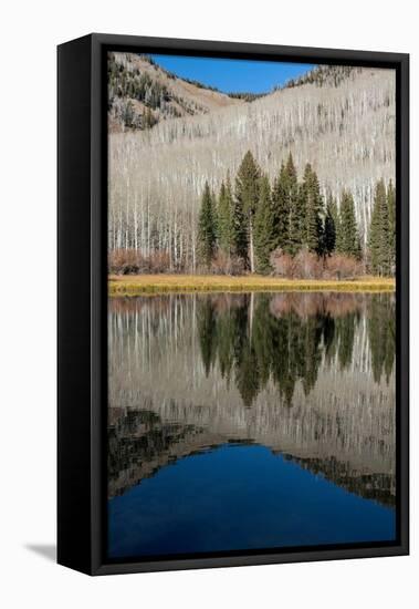 USA, Utah. Reflections on Warner Lake, Manti-La Sal National Forest.-Judith Zimmerman-Framed Premier Image Canvas