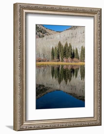 USA, Utah. Reflections on Warner Lake, Manti-La Sal National Forest.-Judith Zimmerman-Framed Photographic Print