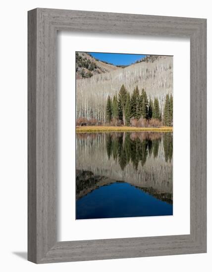 USA, Utah. Reflections on Warner Lake, Manti-La Sal National Forest.-Judith Zimmerman-Framed Photographic Print