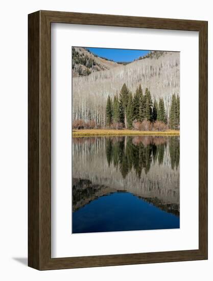 USA, Utah. Reflections on Warner Lake, Manti-La Sal National Forest.-Judith Zimmerman-Framed Photographic Print