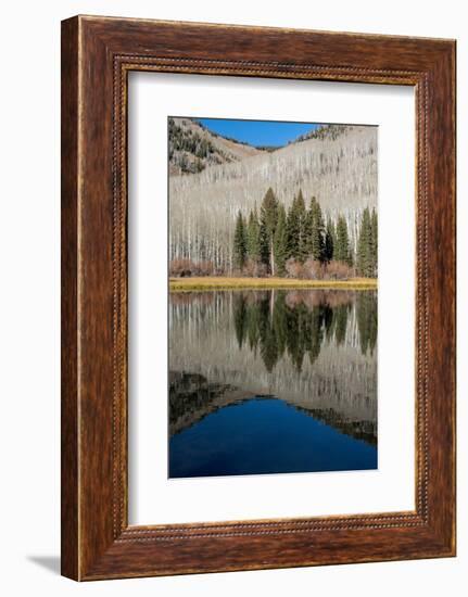 USA, Utah. Reflections on Warner Lake, Manti-La Sal National Forest.-Judith Zimmerman-Framed Photographic Print