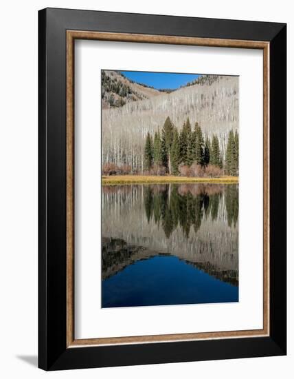 USA, Utah. Reflections on Warner Lake, Manti-La Sal National Forest.-Judith Zimmerman-Framed Photographic Print