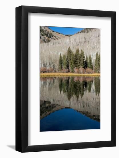 USA, Utah. Reflections on Warner Lake, Manti-La Sal National Forest.-Judith Zimmerman-Framed Photographic Print