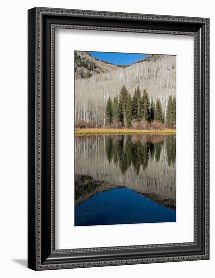 USA, Utah. Reflections on Warner Lake, Manti-La Sal National Forest.-Judith Zimmerman-Framed Photographic Print