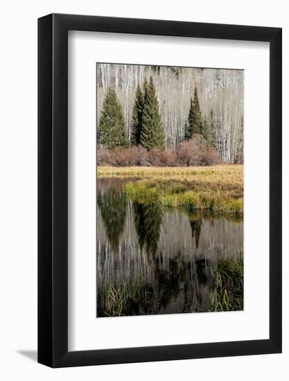 USA, Utah. Reflections on Warner Lake, Manti-La Sal National Forest.-Judith Zimmerman-Framed Photographic Print