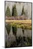 USA, Utah. Reflections on Warner Lake, Manti-La Sal National Forest.-Judith Zimmerman-Mounted Photographic Print