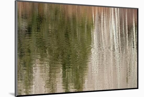 USA, Utah. Reflections on Warner Lake, Manti-La Sal National Forest.-Judith Zimmerman-Mounted Photographic Print