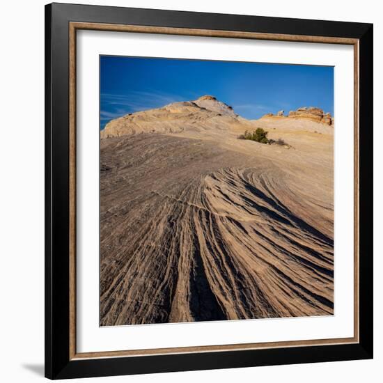 USA, Utah. Sandstone formation and cross-bedded layers, Canyonlands NP, Island in the Sky.-Judith Zimmerman-Framed Photographic Print