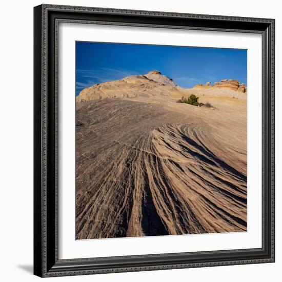 USA, Utah. Sandstone formation and cross-bedded layers, Canyonlands NP, Island in the Sky.-Judith Zimmerman-Framed Photographic Print