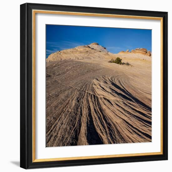 USA, Utah. Sandstone formation and cross-bedded layers, Canyonlands NP, Island in the Sky.-Judith Zimmerman-Framed Photographic Print