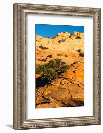 USA, Utah. Sandstone formation and cross-bedded layers, Canyonlands NP, Island in the Sky.-Judith Zimmerman-Framed Photographic Print