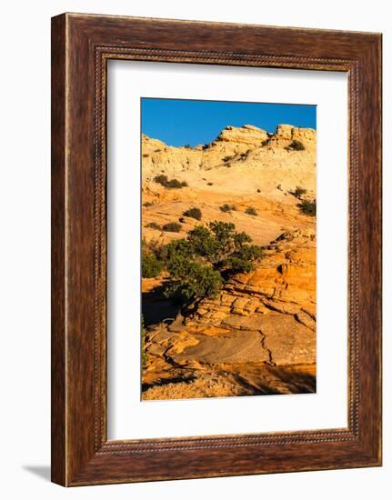 USA, Utah. Sandstone formation and cross-bedded layers, Canyonlands NP, Island in the Sky.-Judith Zimmerman-Framed Photographic Print