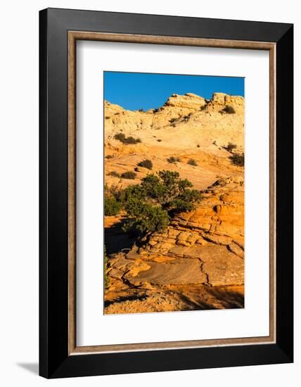 USA, Utah. Sandstone formation and cross-bedded layers, Canyonlands NP, Island in the Sky.-Judith Zimmerman-Framed Photographic Print