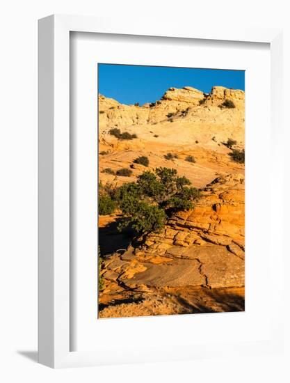 USA, Utah. Sandstone formation and cross-bedded layers, Canyonlands NP, Island in the Sky.-Judith Zimmerman-Framed Photographic Print