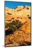 USA, Utah. Sandstone formation and cross-bedded layers, Canyonlands NP, Island in the Sky.-Judith Zimmerman-Mounted Photographic Print