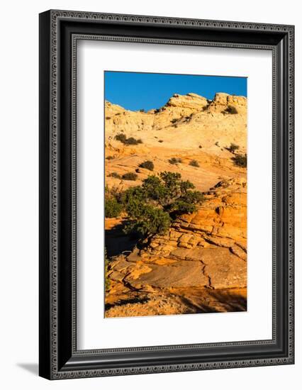 USA, Utah. Sandstone formation and cross-bedded layers, Canyonlands NP, Island in the Sky.-Judith Zimmerman-Framed Photographic Print