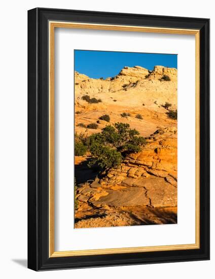 USA, Utah. Sandstone formation and cross-bedded layers, Canyonlands NP, Island in the Sky.-Judith Zimmerman-Framed Photographic Print