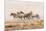 USA, Utah, Tooele County. Wild horses and dust.-Jaynes Gallery-Mounted Photographic Print