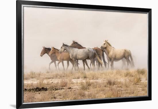 USA, Utah, Tooele County. Wild horses and dust.-Jaynes Gallery-Framed Photographic Print