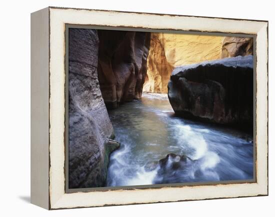 USA, Utah, View of Virgin River at Zion National Park-Zandria Muench Beraldo-Framed Premier Image Canvas