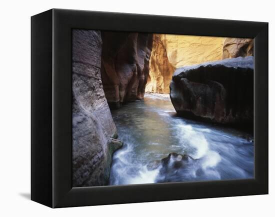 USA, Utah, View of Virgin River at Zion National Park-Zandria Muench Beraldo-Framed Premier Image Canvas