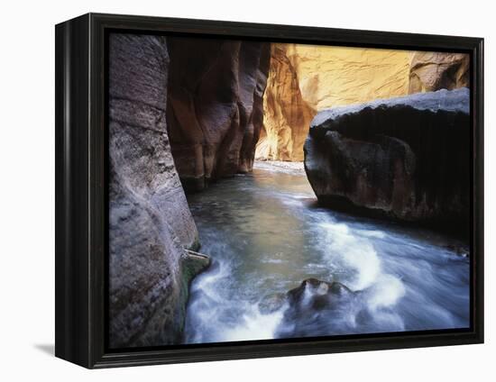 USA, Utah, View of Virgin River at Zion National Park-Zandria Muench Beraldo-Framed Premier Image Canvas