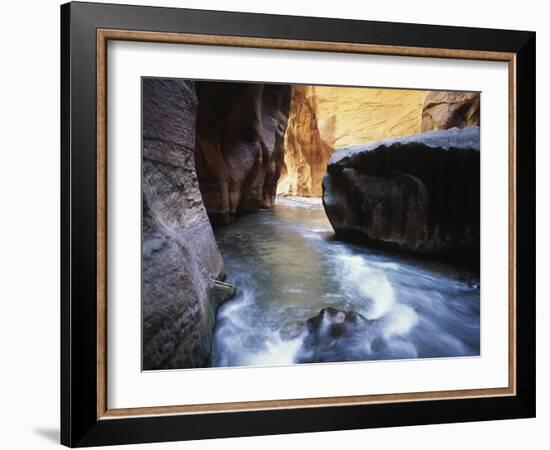 USA, Utah, View of Virgin River at Zion National Park-Zandria Muench Beraldo-Framed Photographic Print