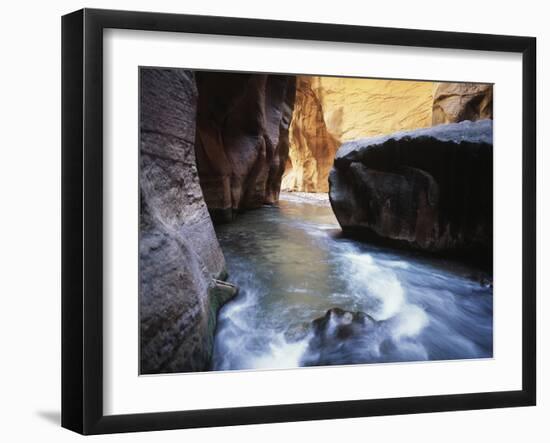 USA, Utah, View of Virgin River at Zion National Park-Zandria Muench Beraldo-Framed Photographic Print