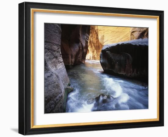 USA, Utah, View of Virgin River at Zion National Park-Zandria Muench Beraldo-Framed Photographic Print