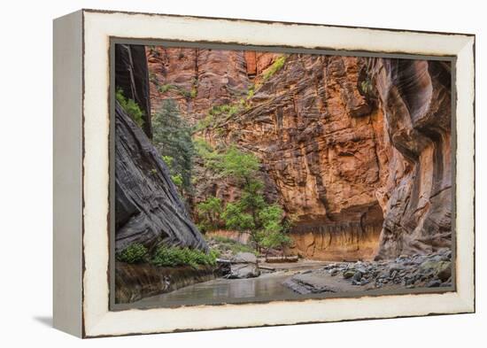 USA, Utah, Zion Narrows-John Ford-Framed Premier Image Canvas