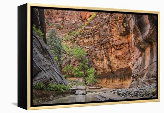 USA, Utah, Zion Narrows-John Ford-Framed Premier Image Canvas