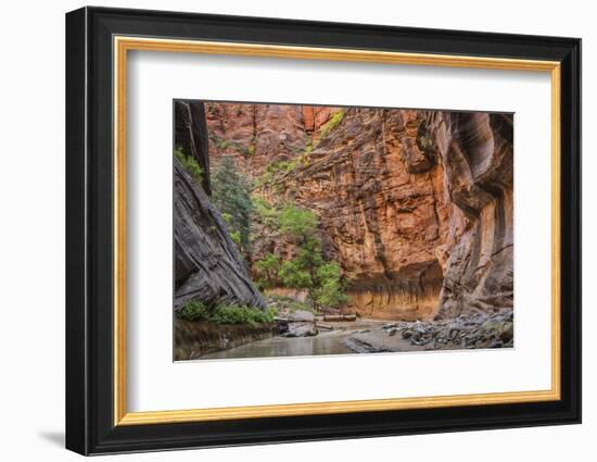 USA, Utah, Zion Narrows-John Ford-Framed Photographic Print