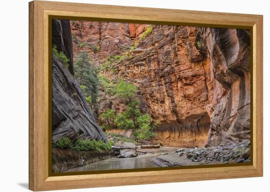 USA, Utah, Zion Narrows-John Ford-Framed Premier Image Canvas