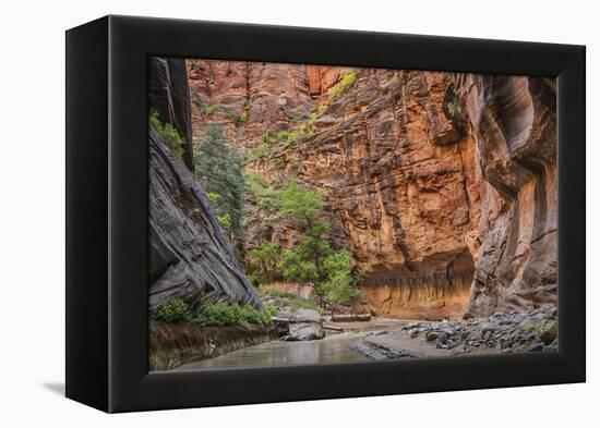 USA, Utah, Zion Narrows-John Ford-Framed Premier Image Canvas